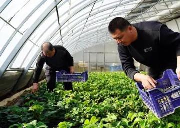 黑龍江：搶抓農(nóng)時備春耕 多措并舉抓推進(jìn)