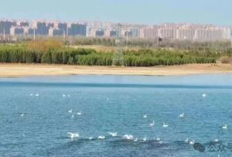 景區(qū)免門票、研學(xué)游火爆、旅游列開通……內(nèi)蒙古文旅再加猛料催熱“春日經(jīng)濟(jì)”