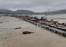 最高補助100萬元！福建加大獎補力度支持提升漁港建設(shè)水平