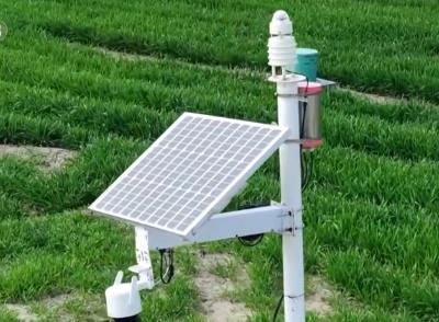 “種地種出成就感”！衛(wèi)星巡田、遠(yuǎn)程田管，農(nóng)業(yè)生產(chǎn)煥發(fā)新活力