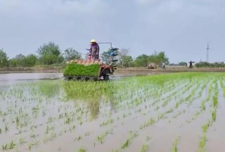 各地春種春管忙 勤勞、智慧、農(nóng)技、機(jī)械化為豐收“保駕護(hù)航”