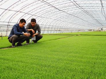 黑龍江：四月春光好 春耕備耕正當(dāng)時