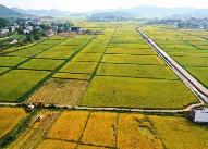 一季度我國(guó)農(nóng)業(yè)農(nóng)村經(jīng)濟(jì)保持了良好發(fā)展勢(shì)頭