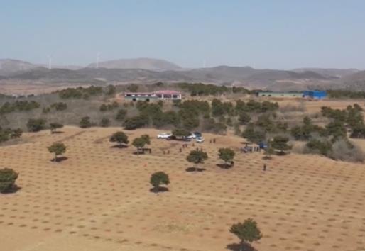 新科技、新設(shè)備助力 “三北”工程攻堅戰(zhàn)高質(zhì)量推進(jìn)