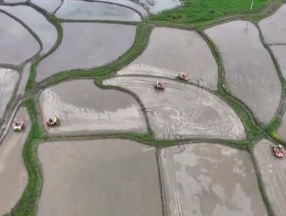 農(nóng)業(yè)農(nóng)村部確定大面積提單產(chǎn)路線圖，端牢“中國(guó)飯碗”