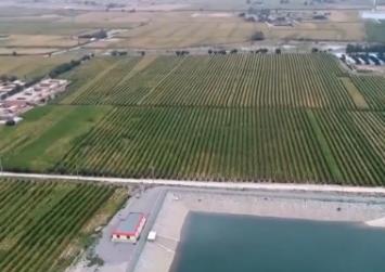 春耕見(jiàn)聞：河西走廊做好現(xiàn)代農(nóng)業(yè)水文章