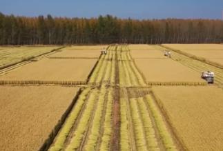 保險護航安心種糧：助農(nóng)戶穩(wěn)定收入 提升防災(zāi)減災(zāi)救災(zāi)能力