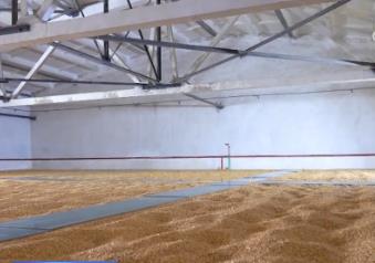 全國綠色儲糧倉容超兩億噸 夯實糧食倉儲能力、筑牢糧食安全防線