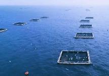 福建加快建設(shè)“藍(lán)色糧倉”推進(jìn)海洋漁業(yè)高質(zhì)量發(fā)展