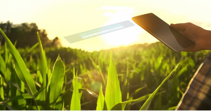 中國中化發(fā)布國內(nèi)首個“玉米品種晉級與精準(zhǔn)定位決策系統(tǒng)”