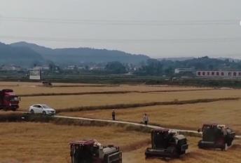 各地?fù)屪マr(nóng)時保障豐收