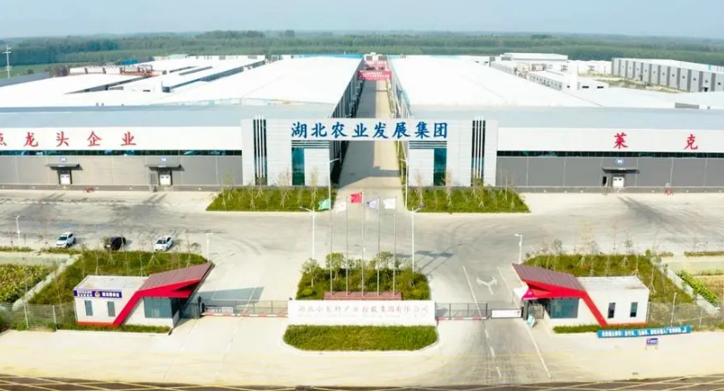 湖北農(nóng)發(fā)集團加快推進產(chǎn)業(yè)鏈供應鏈建設 助力“三農(nóng)”發(fā)展