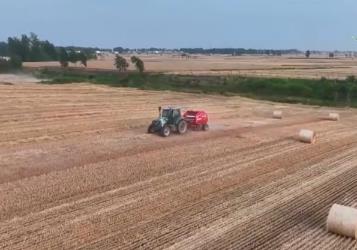 夏糧已經(jīng)由南向北陸續(xù)開鐮 今年“三夏”迎來哪些“新”變化？