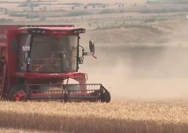 智能化農(nóng)機投用、“數(shù)字云”服務(wù)……“科技范兒”保障希望的田野穩(wěn)產(chǎn)豐收