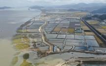 福建省啟動生態(tài)恢復岸線認定工作