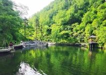 端午假期黑龍江省周邊游預訂單量劇增