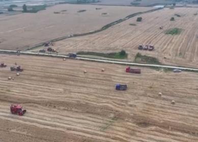 以密固沙、以糧改沙 組合拳實現(xiàn)“噸糧田”