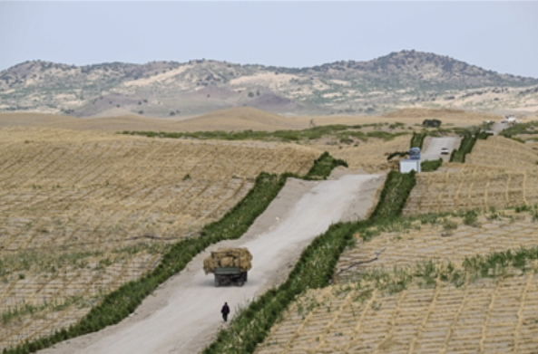 京津最近沙源區(qū)覆綠進行時——內蒙古沙地生態(tài)治理觀察
