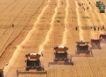 加裝“北斗”、改造智能糧庫……科技手段讓“三夏”生產(chǎn)更智慧、更高效