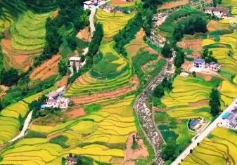 書寫四季如詩(shī)的注腳 南北文化碰撞煥發(fā)新活力