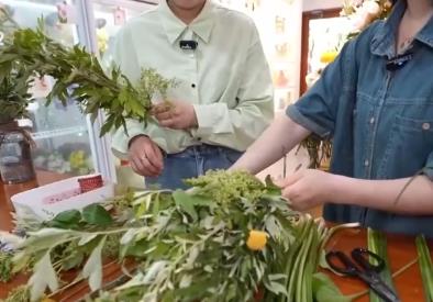 128.3億，身價倍增！艾草“玩”出新花樣 從“一季俏”到“四季青”