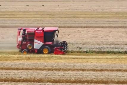 “優(yōu)質(zhì)種+科技范”繪出田野好“豐”景 夏糧穩(wěn)產(chǎn)增收基礎(chǔ)牢、底氣足