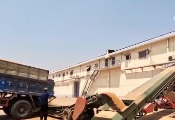 收購開局良好！讓農(nóng)民賣“明白糧”“放心糧” 確保夏糧豐收入庫、顆粒歸倉