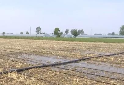 全國多地積極采取措施抗高溫保“三夏”