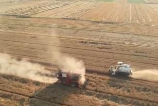 大中型灌區(qū)全力調(diào)水抗旱?！叭摹?夯實(shí)秋糧豐收基礎(chǔ)