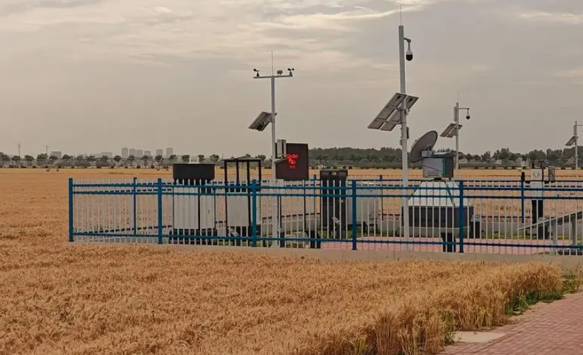 中原農(nóng)谷、一流“種谷”、農(nóng)業(yè)科創(chuàng)谷——從中部“三谷”看農(nóng)業(yè)創(chuàng)新發(fā)展