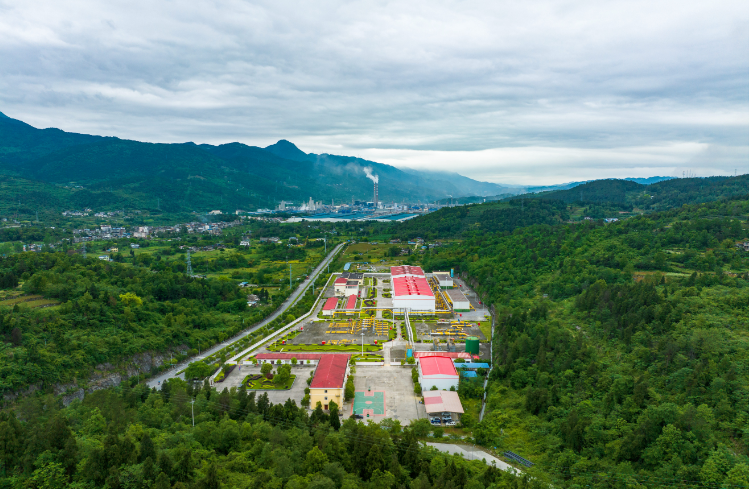 20240704091933518.png 20240704091933518.png