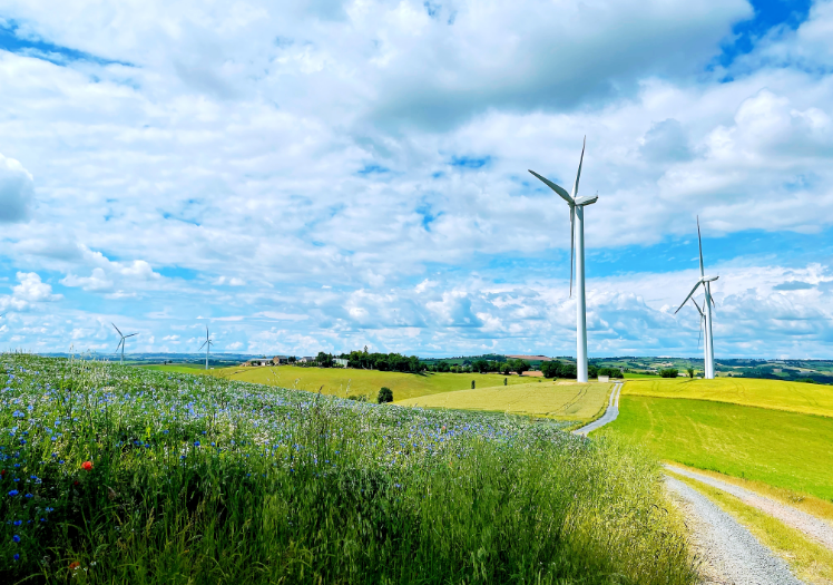 20240813102438275.png 20240813102438275.png