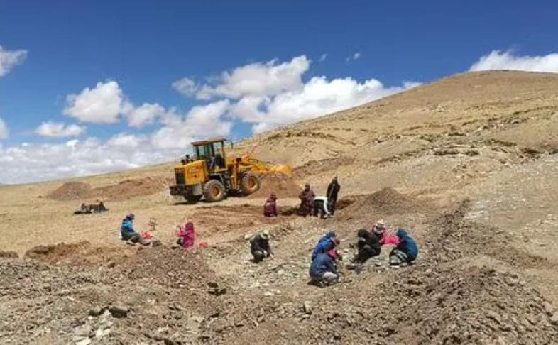 重要成果集中發(fā)布！第二次青藏科考“大開箱”