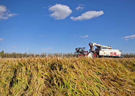 東北兩個(gè)“魚米鄉(xiāng)”高質(zhì)量發(fā)展對話