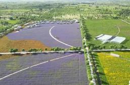 沙漠變綠地、變耕地 我國率先實(shí)現(xiàn)土地退化“零增長”