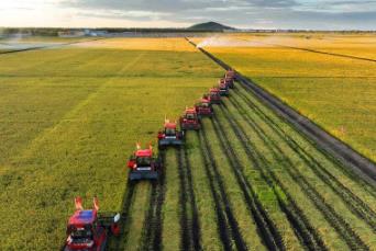 專(zhuān)家學(xué)者齊聚龍江 為黑龍江品牌農(nóng)業(yè)發(fā)展把脈獻(xiàn)策