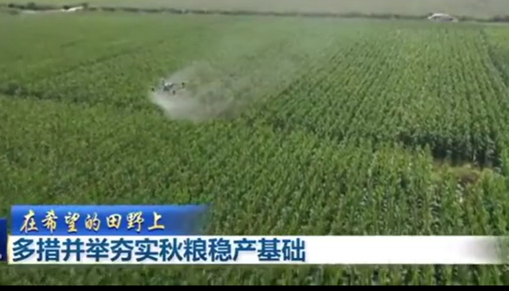 多措并舉夯實秋糧穩(wěn)產基礎