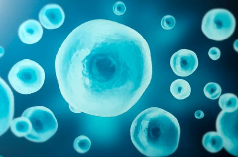 讓細(xì)胞遵循正確的“說(shuō)明書”——2024年諾貝爾生理學(xué)或醫(yī)學(xué)獎(jiǎng)成果再次揭示生命的精妙