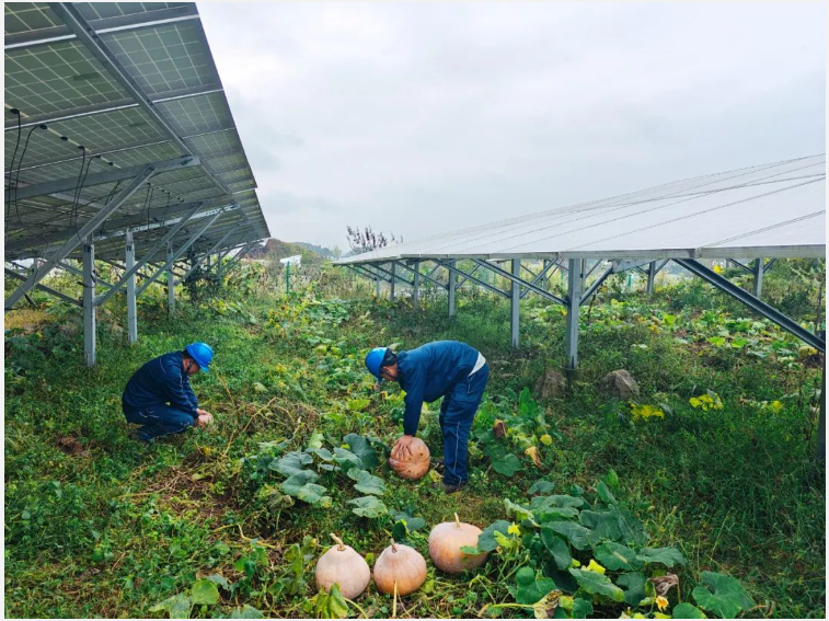 20241104102913113.png 20241104102913113.png