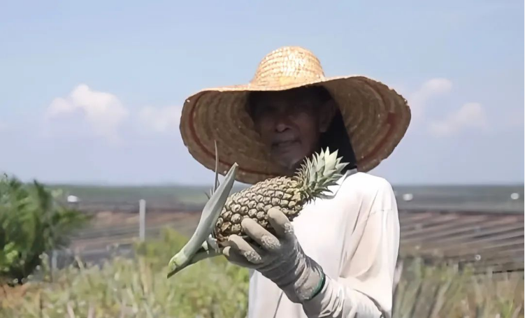 20241104103001388.png 20241104103001388.png