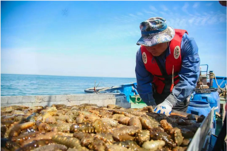 20241104103025718.png 20241104103025718.png