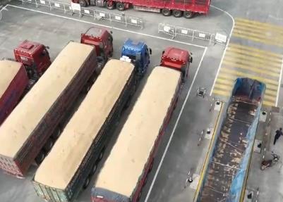 “優(yōu)化服務(wù)+智慧裝備” 讓農(nóng)民“少跑路” 確保糧歸倉(cāng)、錢到賬