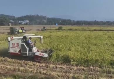 魚滿塘、糧滿倉、播種忙 希望的田野“豐”景不斷 映照農(nóng)民紅火好日子