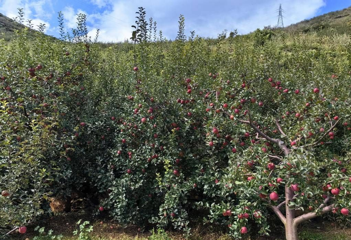 20241108163920371.png 20241108163920371.png