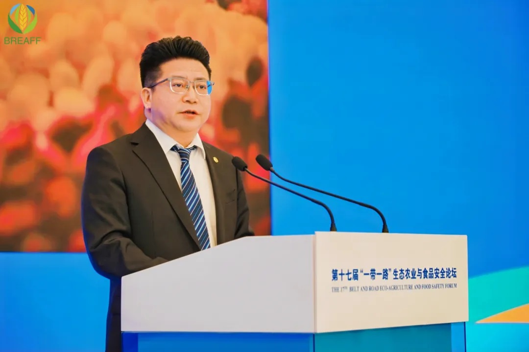 1731205489924091428.jpg 1731205489924091428.jpg