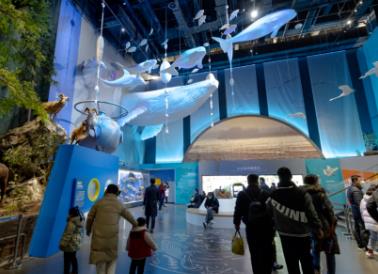 河南省科技館新館開館，推出“一元觀影”服務(wù)