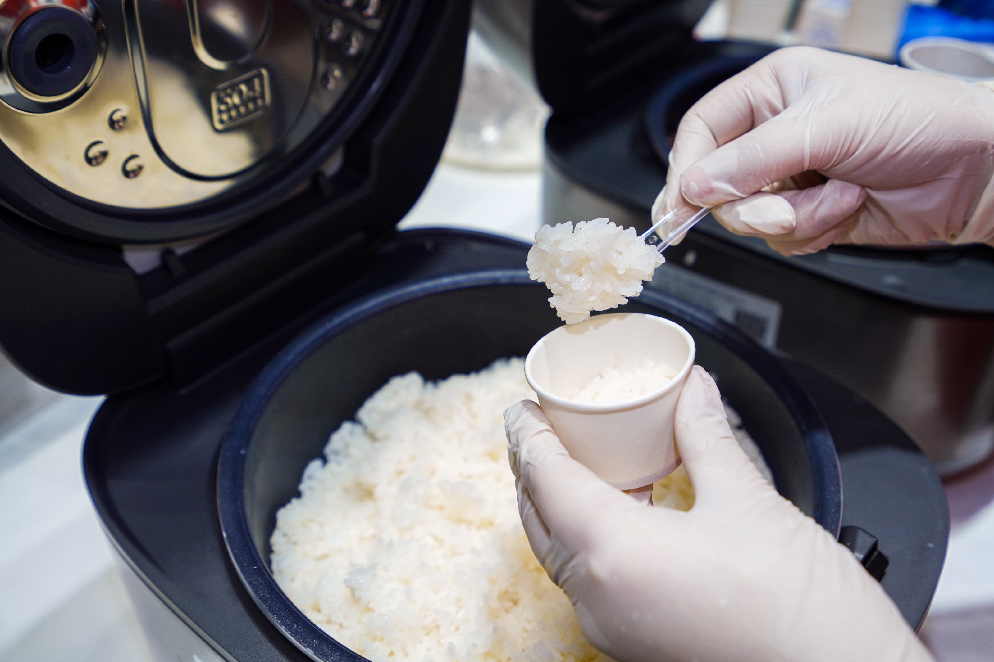 1732083967481662.jpg 1732083967481662.jpg