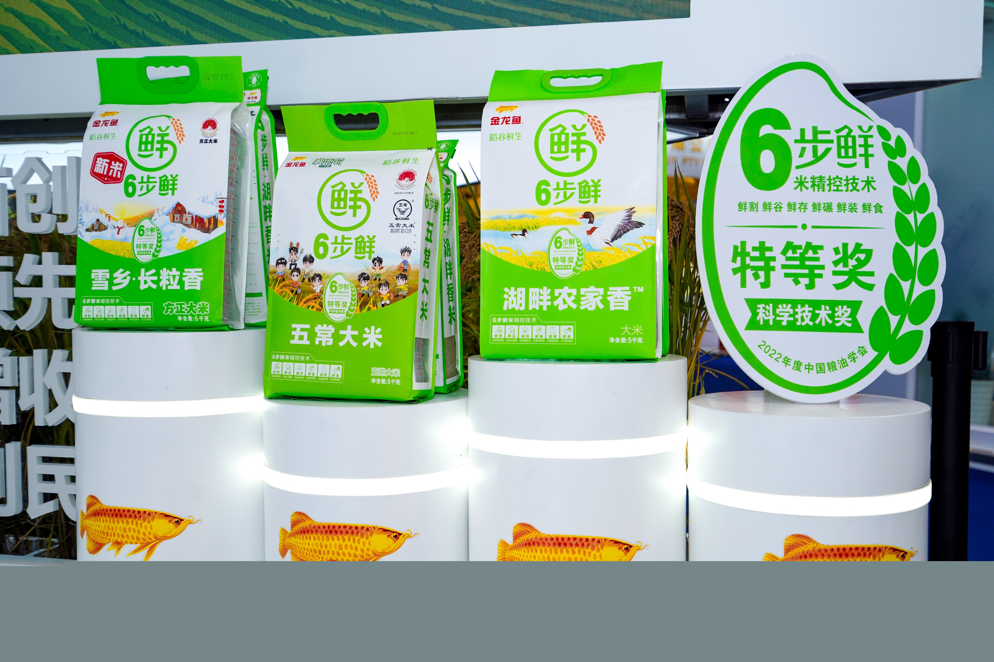 1732084006870076.jpg 1732084006870076.jpg