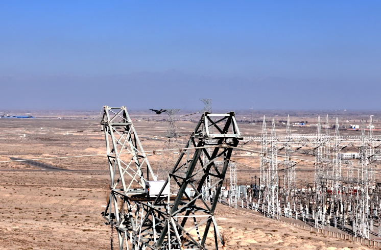 新疆電網(wǎng)首臺(tái)光伏儲(chǔ)能網(wǎng)格巡檢“駐塔式”無(wú)人機(jī)投入運(yùn)行