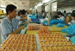 游泳鏡新國標(biāo)即將實(shí)施 應(yīng)用國人頭模進(jìn)一步提高產(chǎn)品舒適性